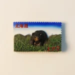 Japan Hokkaido Higuma Brown Bear fridge magnet front view.