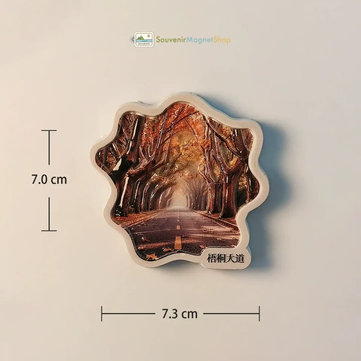 China Nanjing Wutong Avenue fridge magnet size view