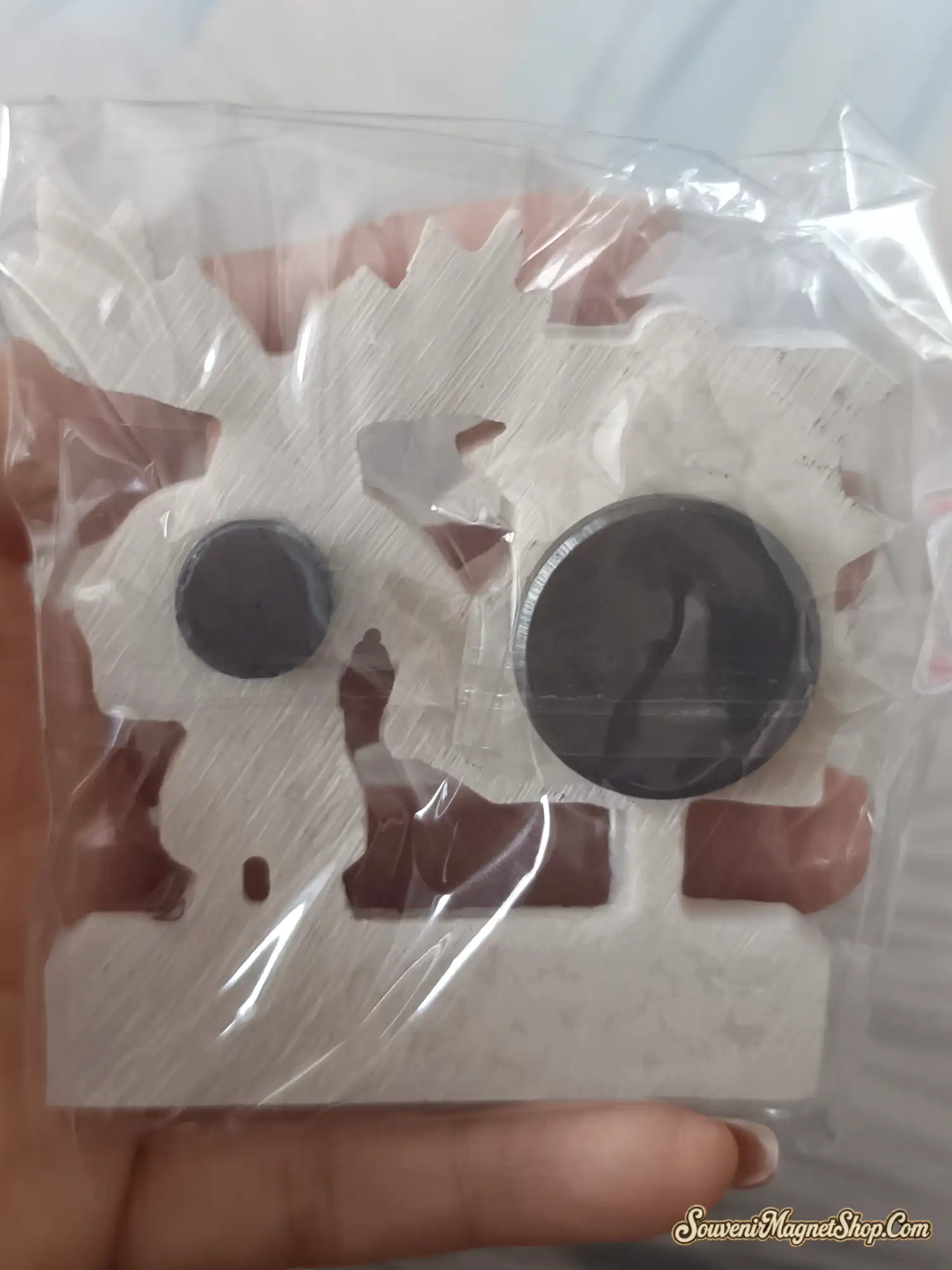 Fridge magnet back with dual magnets for irregular shape stability
