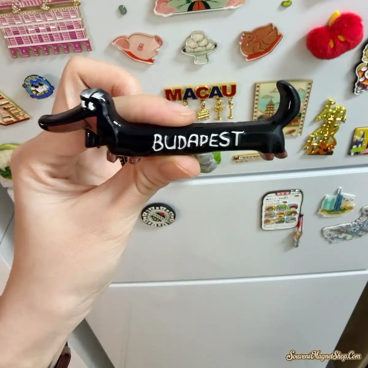 Customer review photo of Budapest dachshund magnet displayed on tray among other fridge magnets