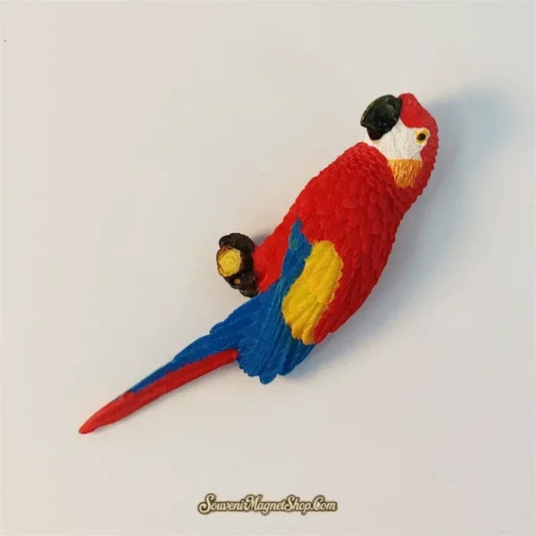 Angled view of hand-painted scarlet macaw souvenir magnet from the Dominican Republic