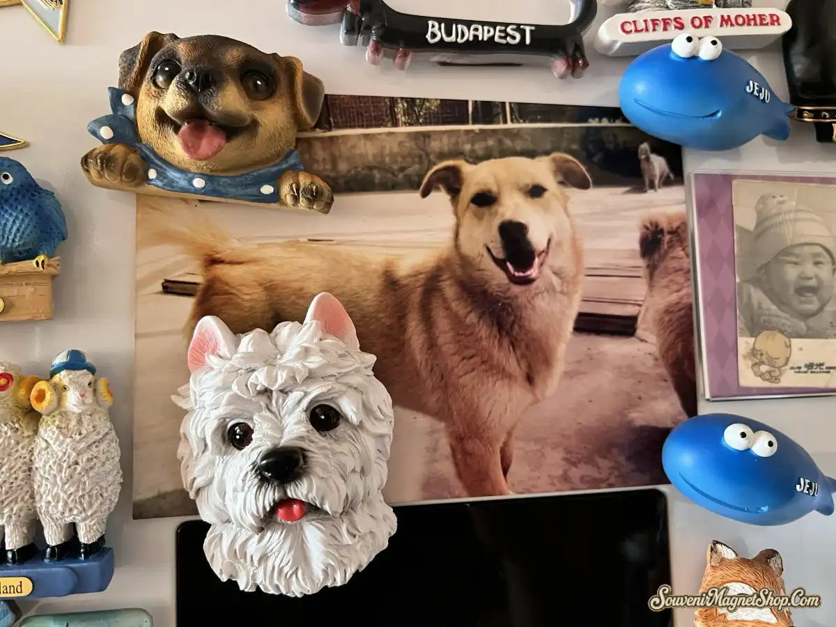 Customer review photo of Budapest dachshund magnet displayed on tray among other fridge magnets