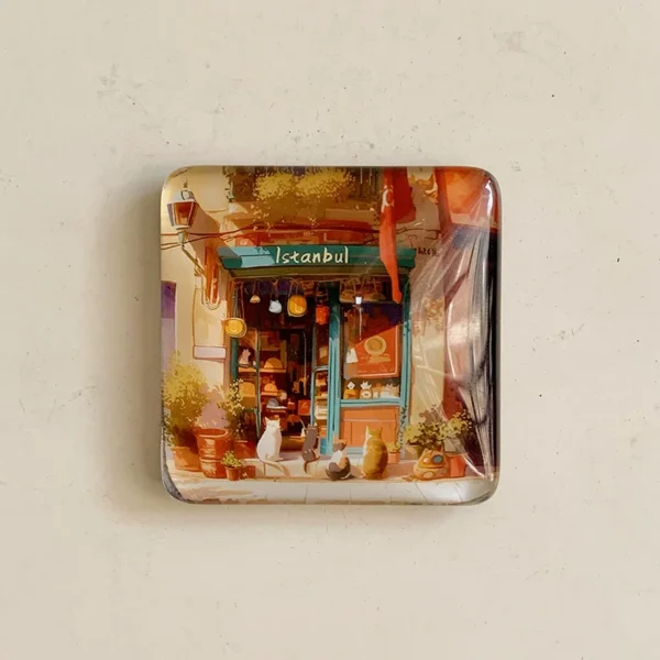 Istanbul cat shop fridge magnet, square glass magnet printed with a teal shopfront and cats